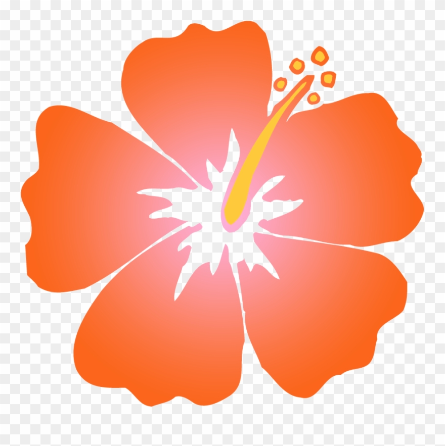 Orange Hibiscus Clip Art - Png Download