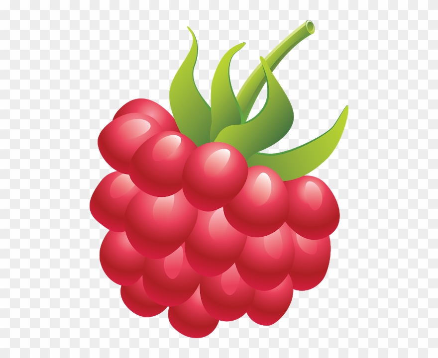 Raspberry Png - Raspberry Clipart Transparent Background