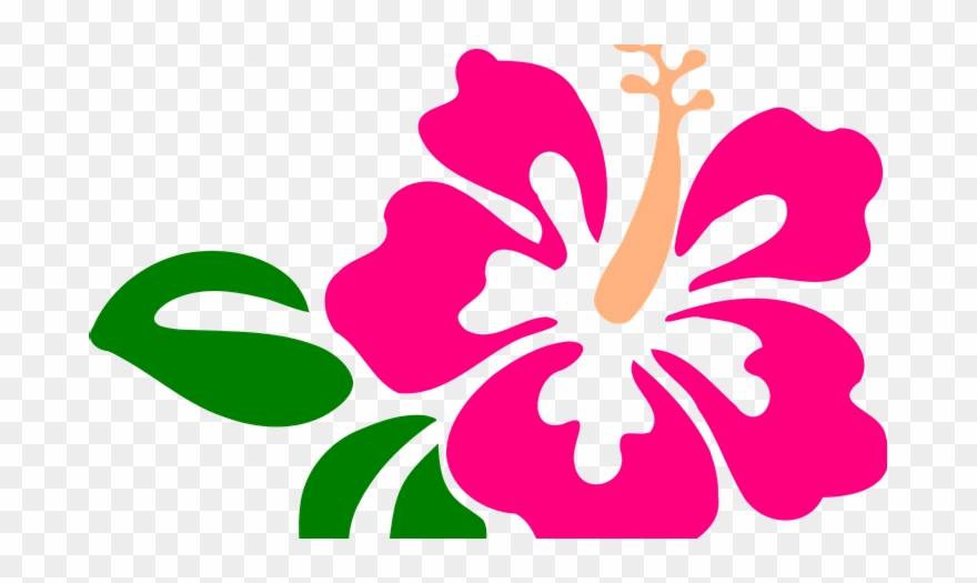 Hawaiian Flower Clipart With Green Leafs - Hibiscus Clip Art - Png Download