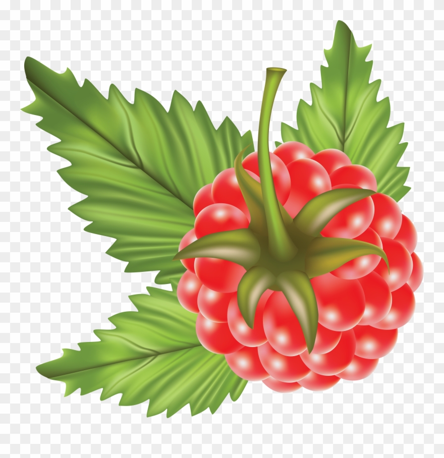 Rraspberry Png Image Clipart