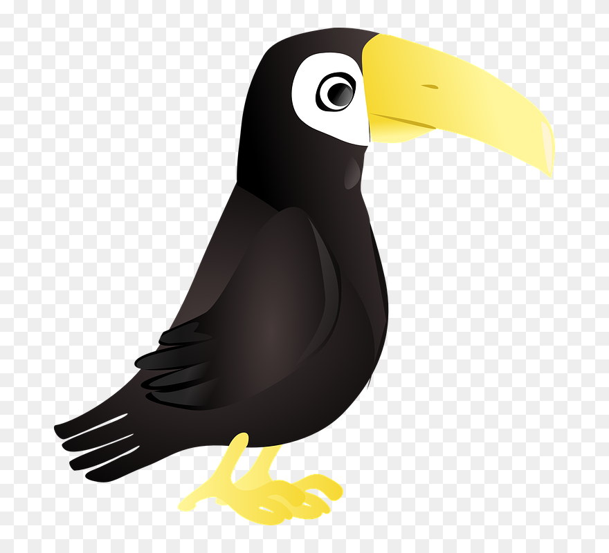 Bird In Zoos Clipart - Png Download