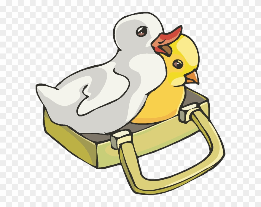 Clipart Info - Png Download