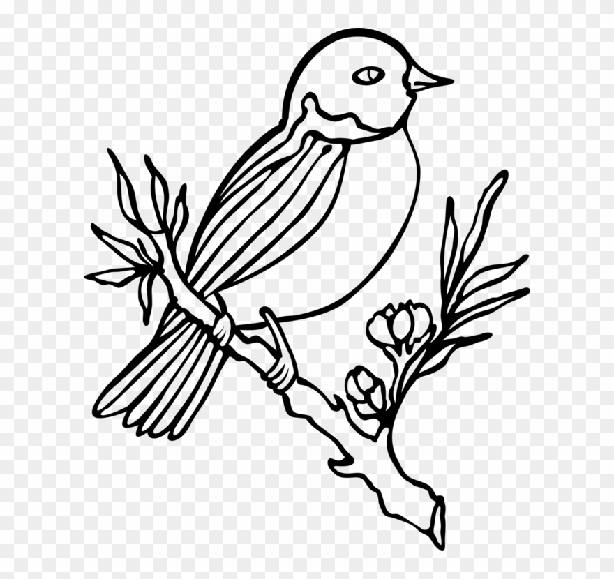 Bird Owl Drawing Flower Penguin - Bird In Flower Drawing Clipart