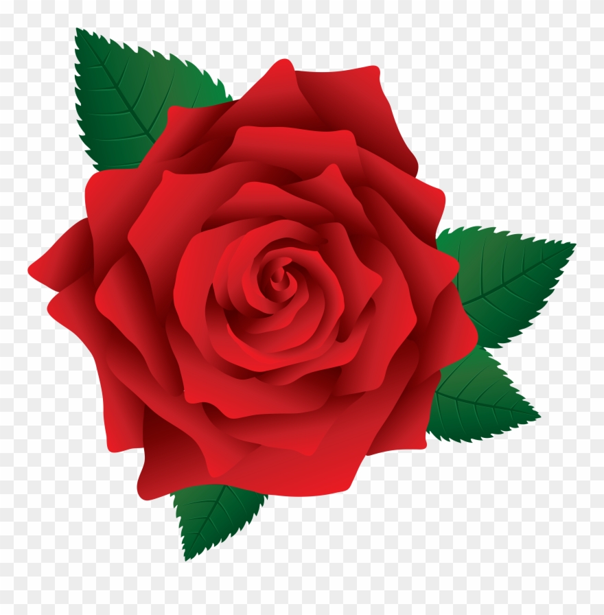 Red Rose Clipart - Rose Png Clip Art Transparent Png