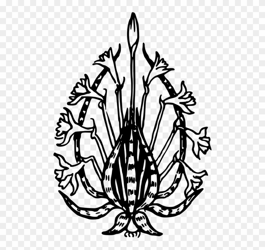 Leaf Insect Symmetry Food Line Art - Design Clipart