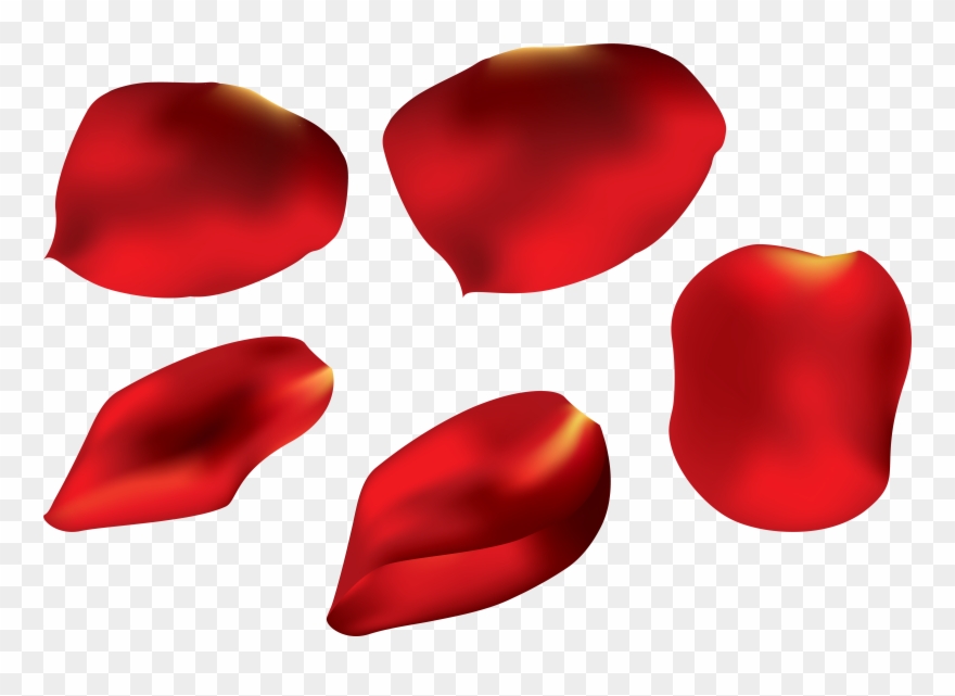 Rose Petals Transparent Clip Art Imageu Gallery Yopriceville - Rose Petal Transparent Background - Png Download