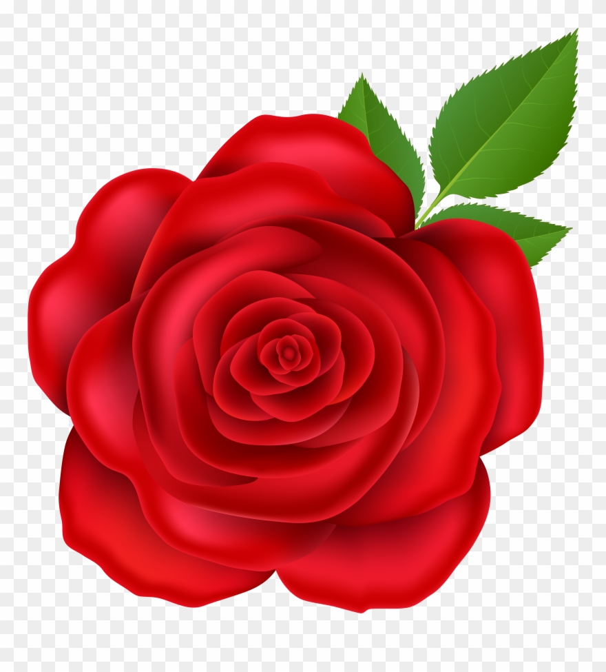 Clip Art - Png Download