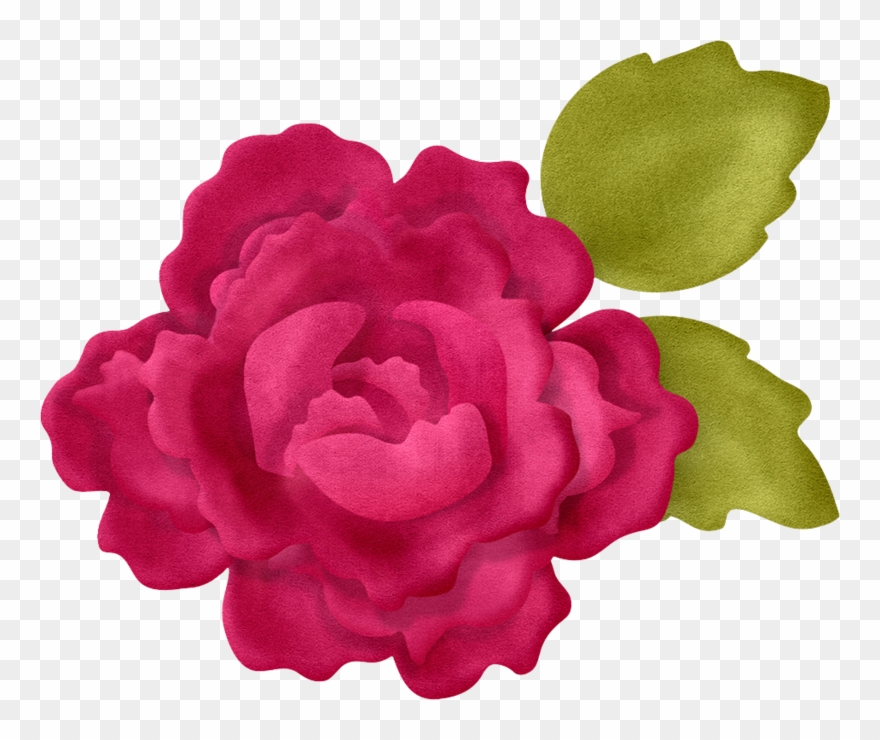 Яндекс - Фотки - Common Peony Clipart