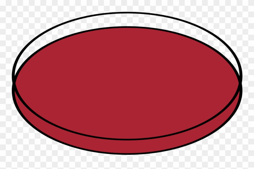 Petri Dishes Open - Clip Art - Png Download