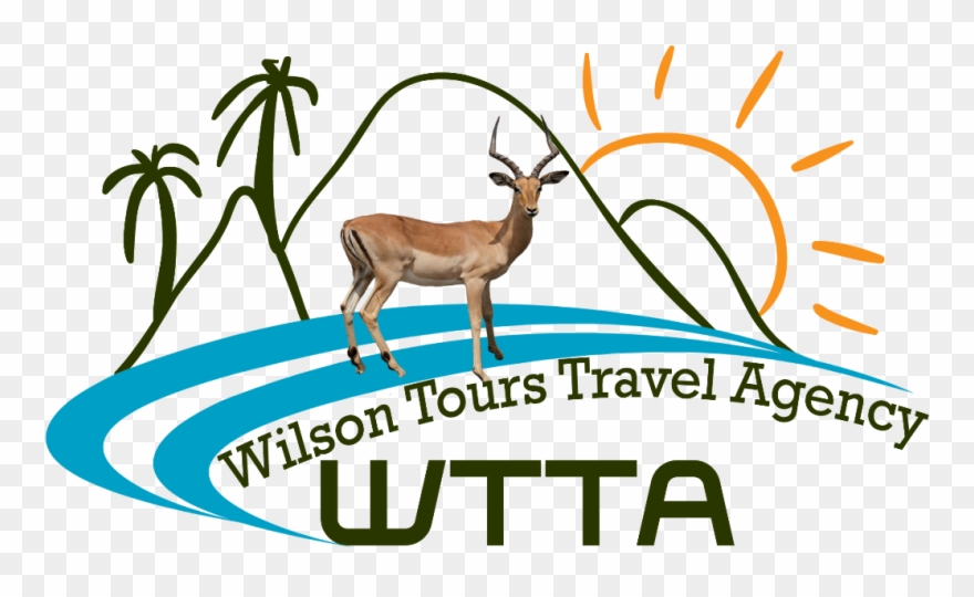 Wilson Tours Travel Agency - Travel And Tourism Clipart