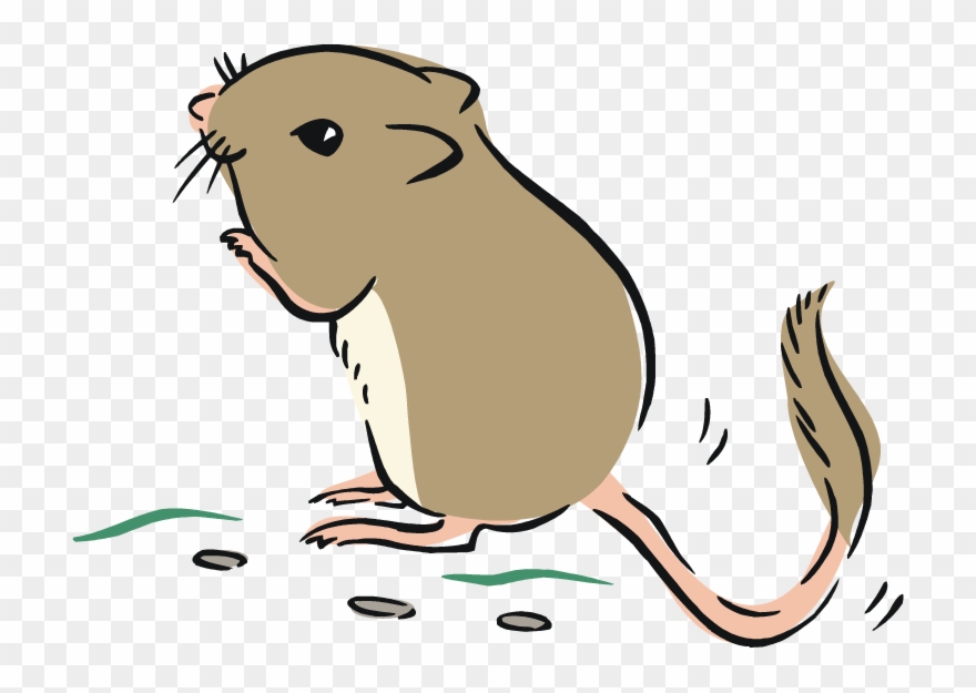 Zodiac Clipart Rat - Kangaroo Rat Clipart - Png Download