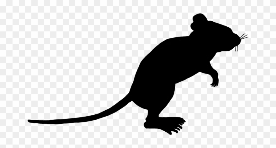 Rat Mouse Clipart Silhouette - Png Download