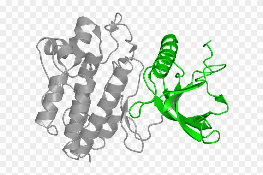 <div Class='caption-body'>1 Copy Of Cath Domain Clipart