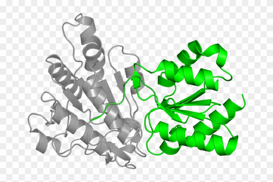 <div Class='caption-body'>1 Copy Of Scop Domain - Illustration Clipart