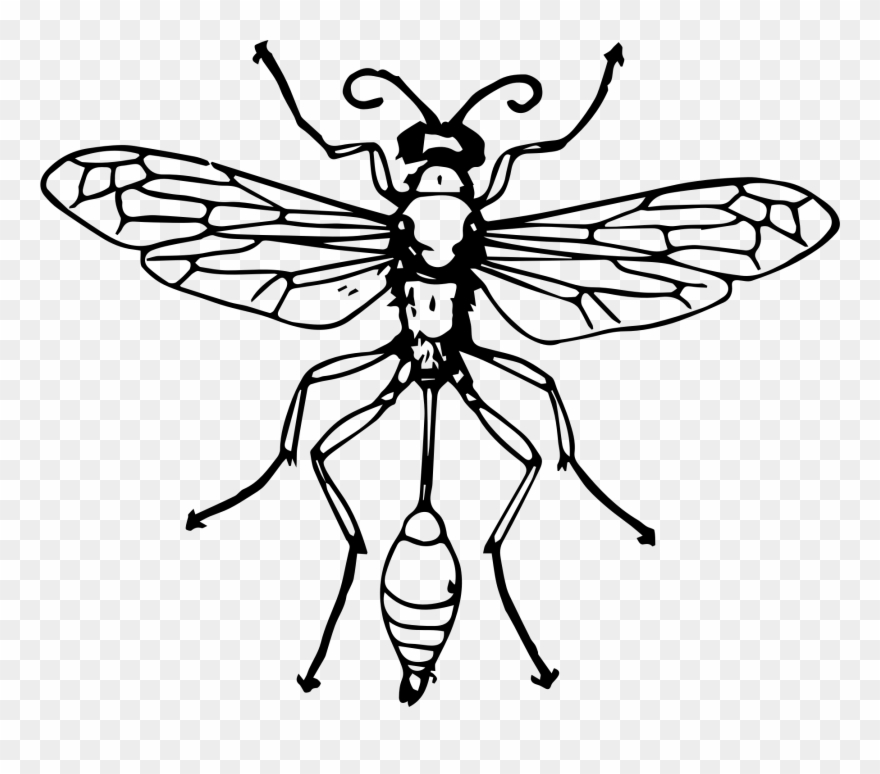 Vector Freeuse Stock Clipart Funeral - Png Download