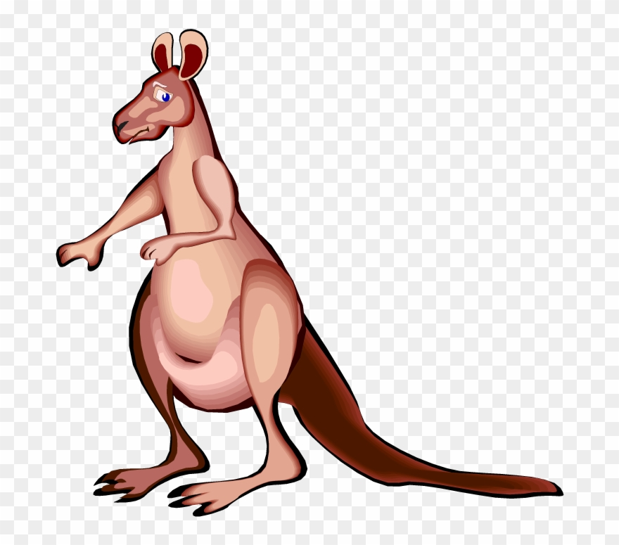Free Kangaroo Clipart - Sad Kangaroo Clipart - Png Download