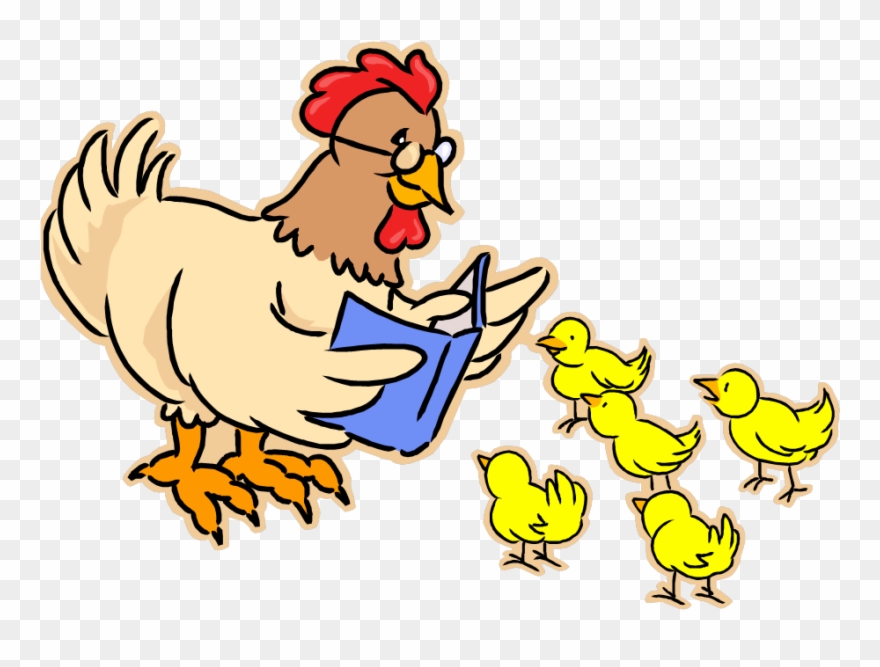 Pre-school Story Time - Chicken Reading A Book Clipart