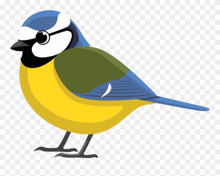 Blue Tit Facing Left - Blue Tit Png Clipart