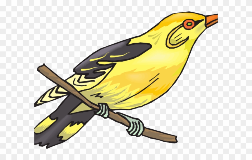 Finch Clipart Finch Bird - Clip Art - Png Download