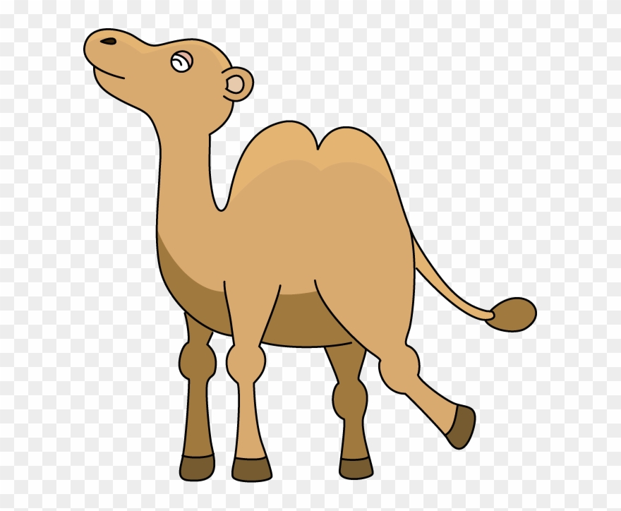 Hump Day Clip Art - Clip Art - Png Download