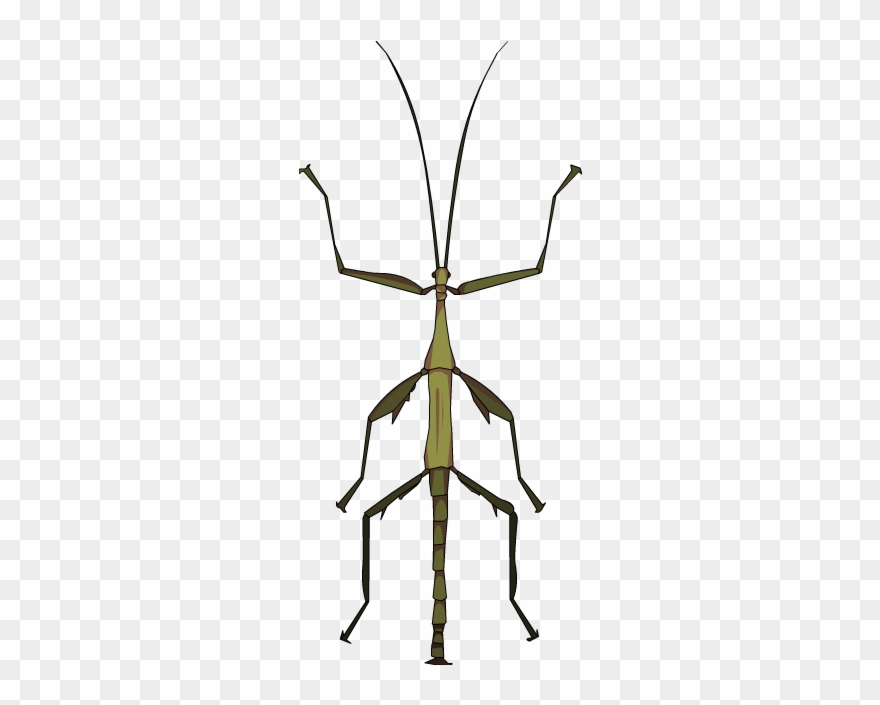 Below Is A Rendering Of The Page Up To The First Error Clipart