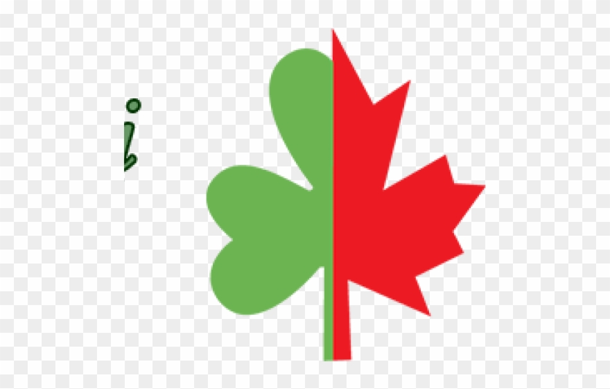 Cruise Clipart Water Safety - Png Download