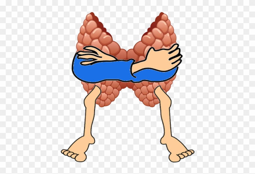 Thyroid Disease Plagues Millions With A Myriad Of Symptoms Clipart