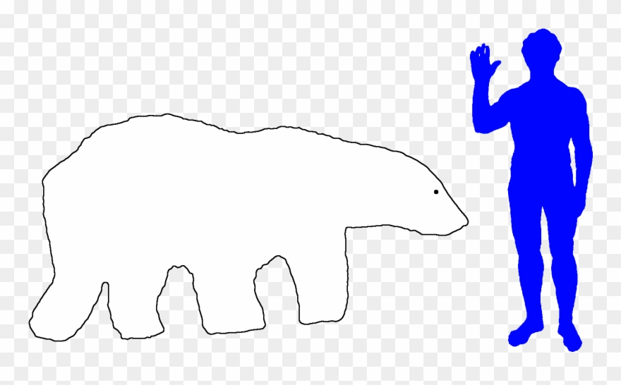 Polar Bear Big Animals Clipart