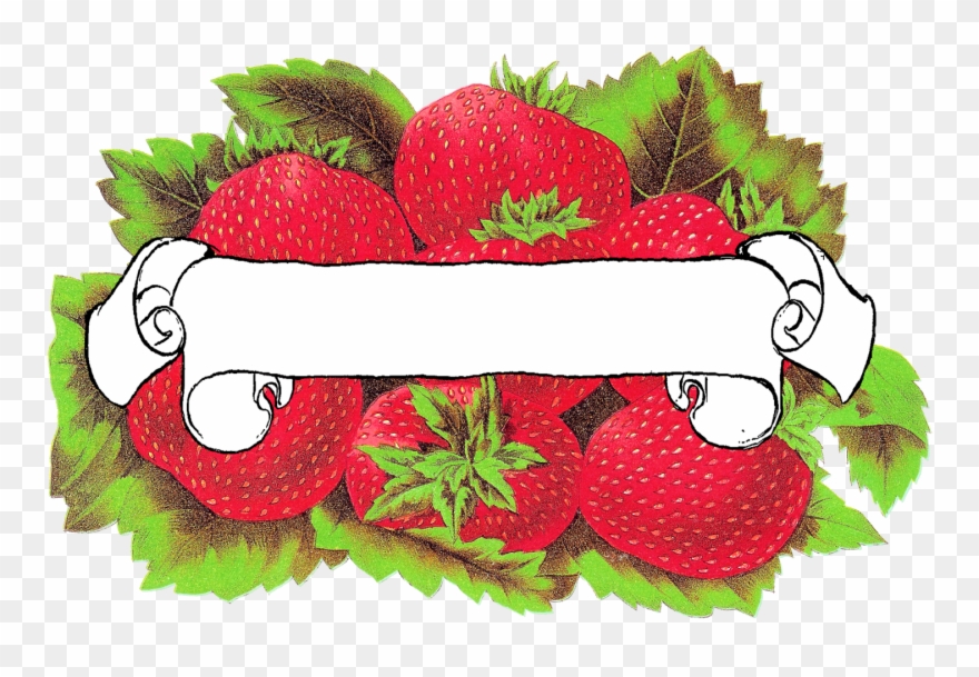 Strawberry Clipart Blank - Png Download