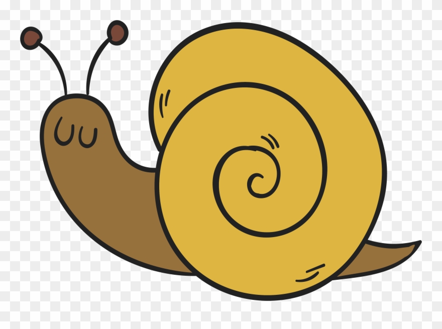 Mollusc Clipart Mango - Png Download