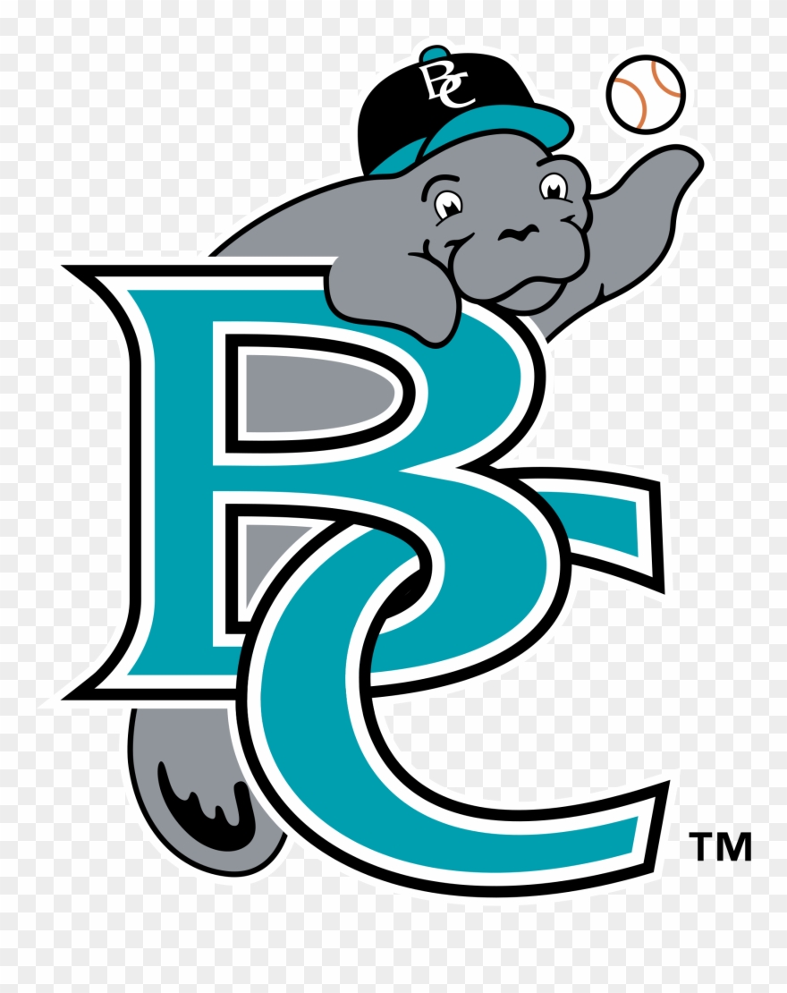 Brevard County Manatees Logo Png Transparent Vector Clipart
