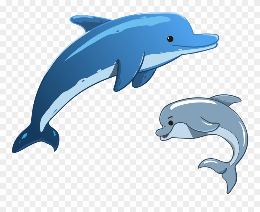 Cartoon Dolphins And Free Clipart