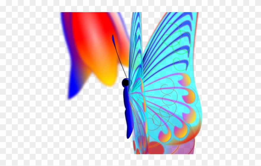 Zebra Clipart Butterfly - Png Download