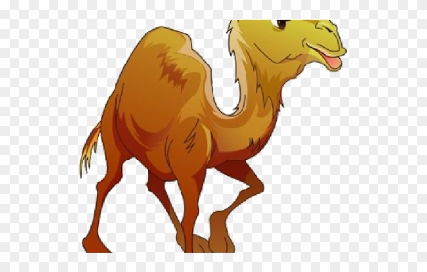 Camel Clipart Camil - Png Download