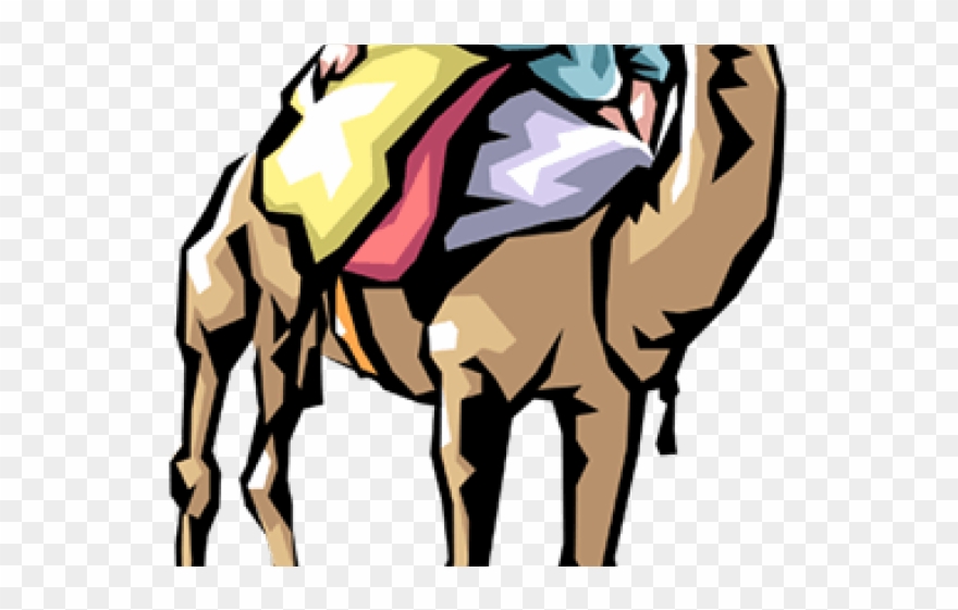 Camels Clipart Vector - Png Download