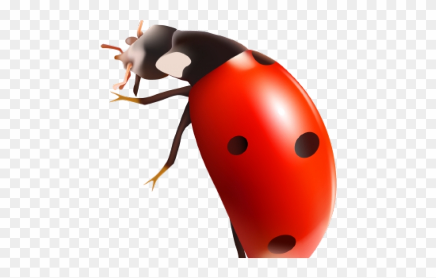 Ant Clipart Transparent Background - Png Download
