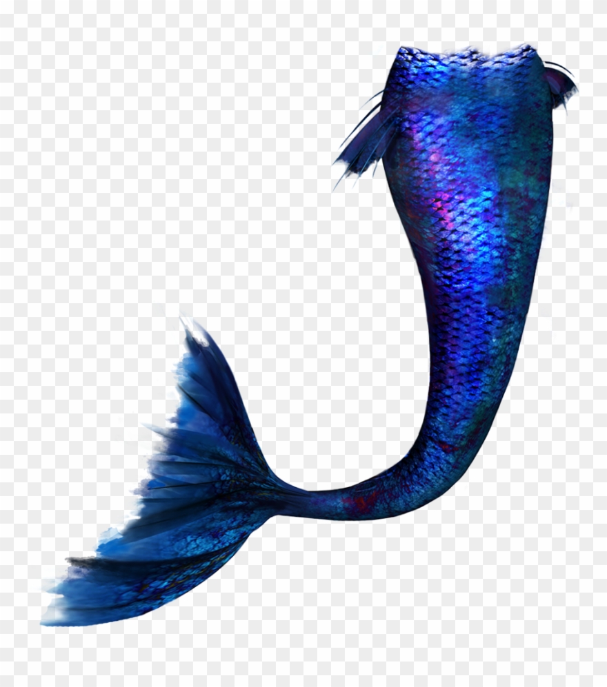 Marmand/fish Hd Clip Art - Png Download