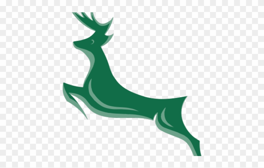 Cricket Clipart Women's Cricket - Png Download