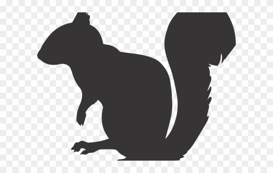 Gray Squirrel Clipart Jpeg - Png Download