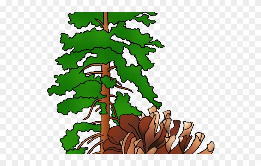 Montana Clipart Plant - Png Download