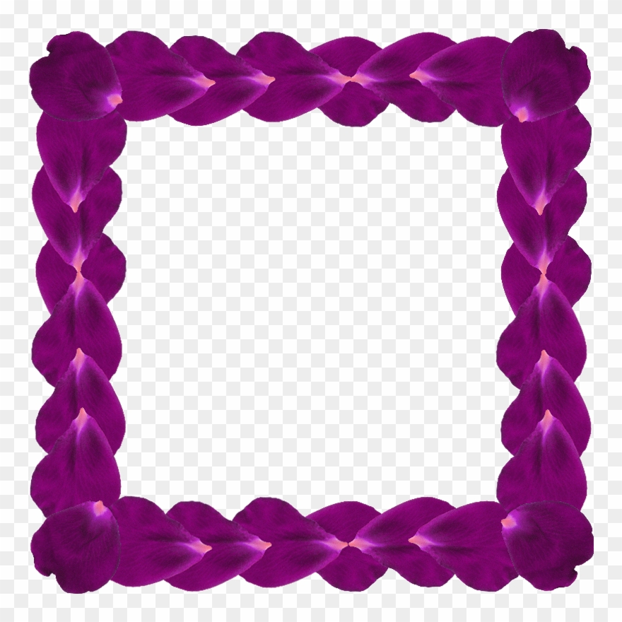 Cadre Pétales De Fleur Frame Clipart, Orange Red, Photoshop, - Png Download