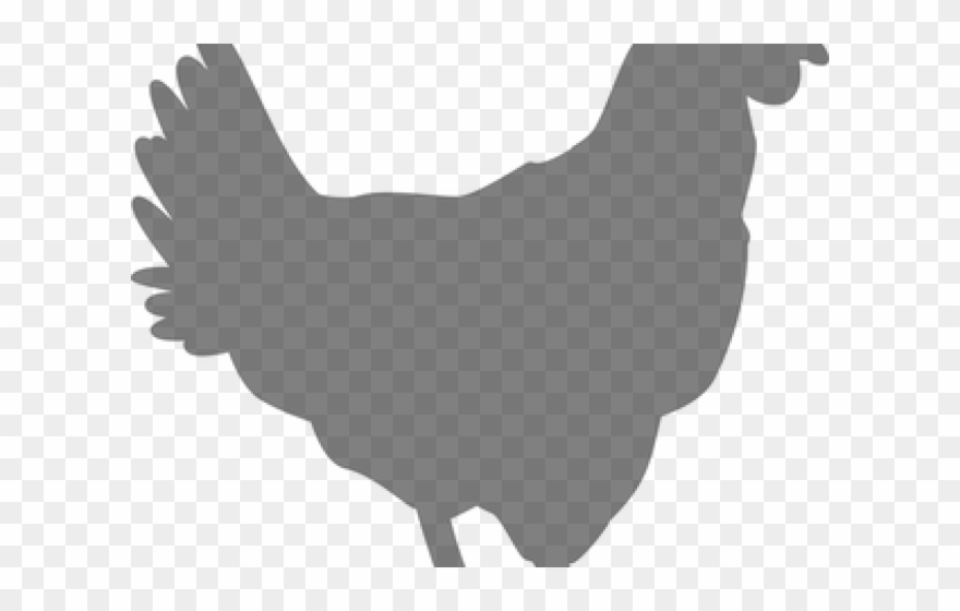 Rooster Clipart Poultry - Png Download