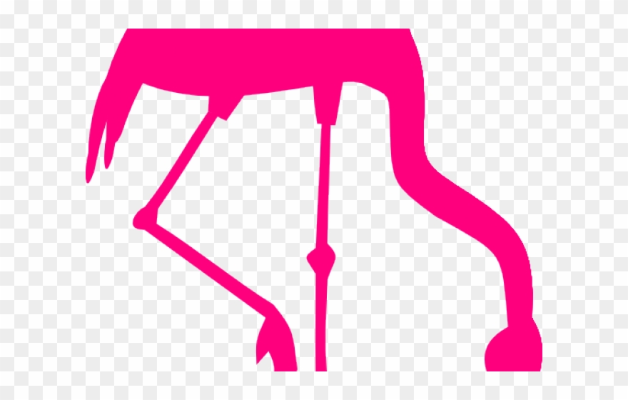 Flamingo Clipart Silhouette - Png Download
