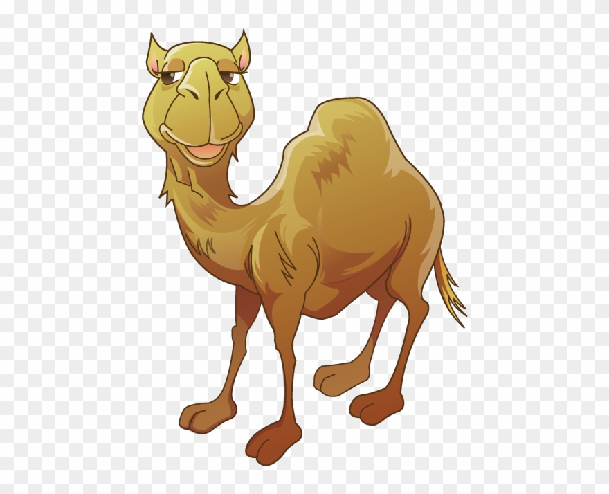Bactrian Camel Clip Art - Png Download