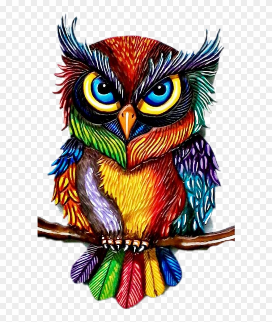 Eule Clipart Png Download 2614458 Pinclipart