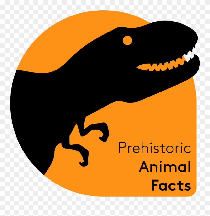 1 Reply 0 Retweets 5 Likes Clipart