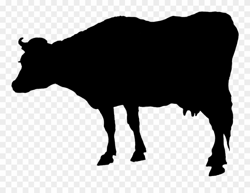2346 Cow Free Vintage Clip Art➢ Download Images Here - Png Download