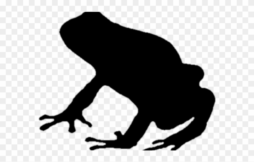 Poison Dart Frog Clipart Frof - Png Download