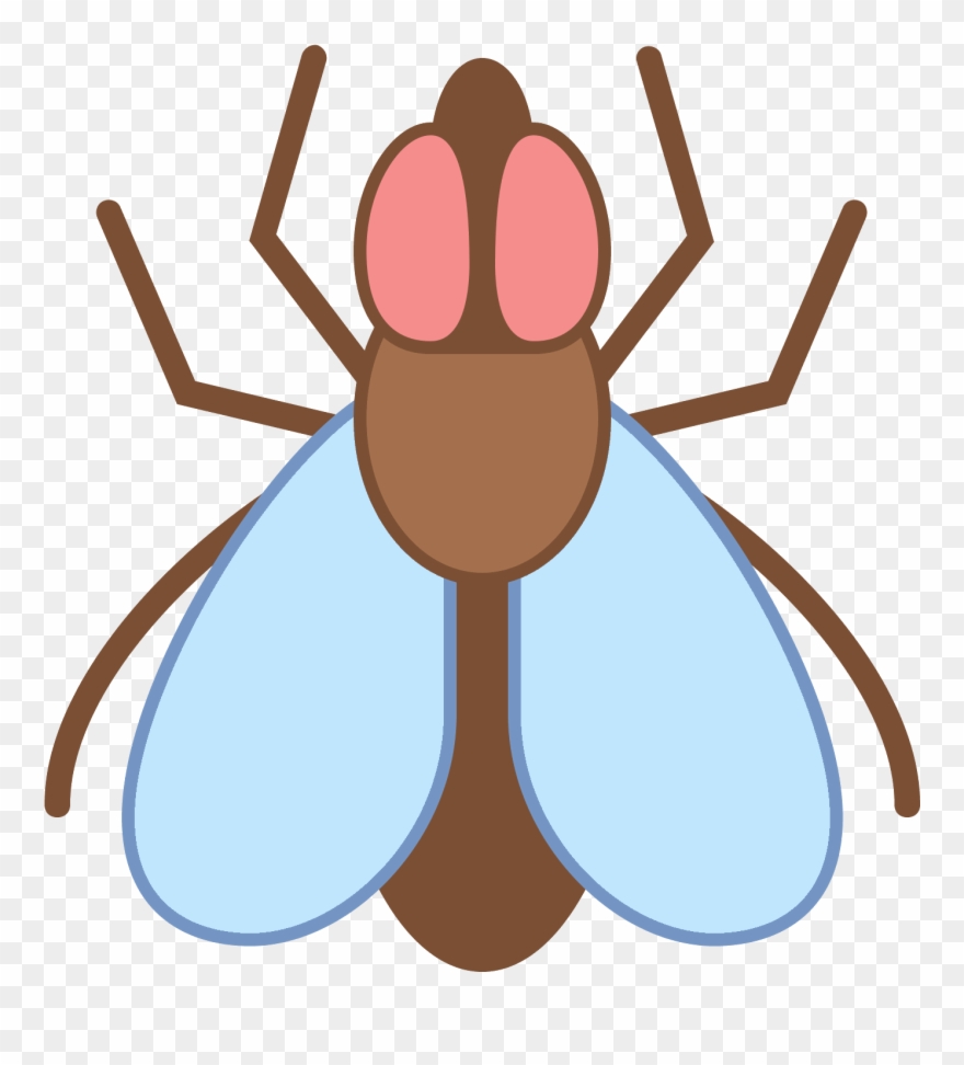 This Is A Drawing Of A Fly Clipart