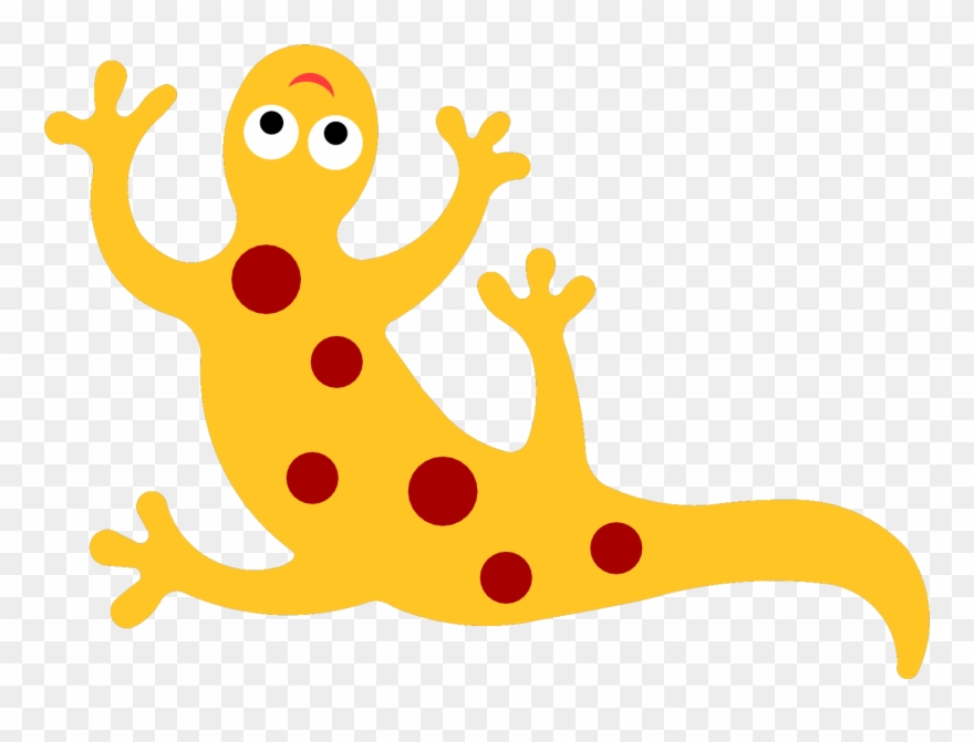 Salamander Clipart